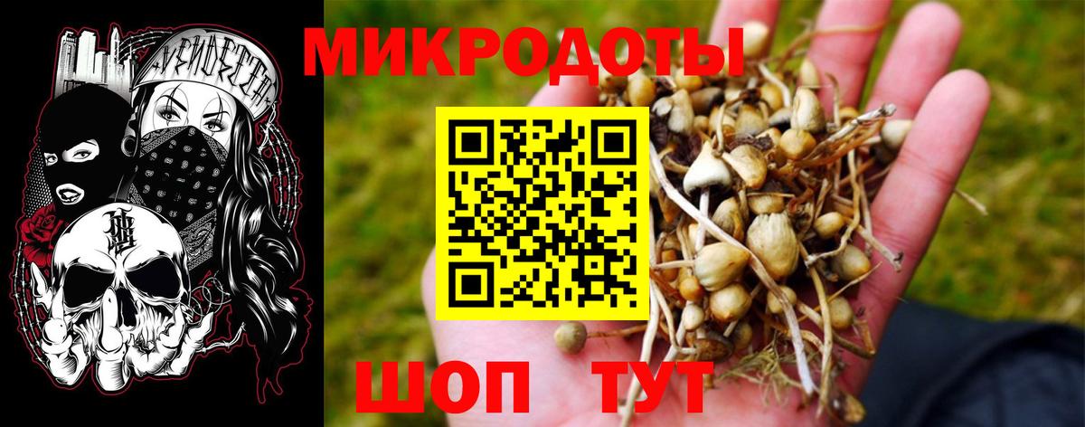 Псилоцибиновые грибы Cubensis Ялуторовск