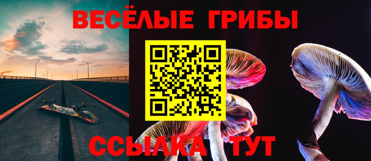 Ялуторовск  Галлюциногенные грибы Psilocybine cubensis  Вход с VPN 